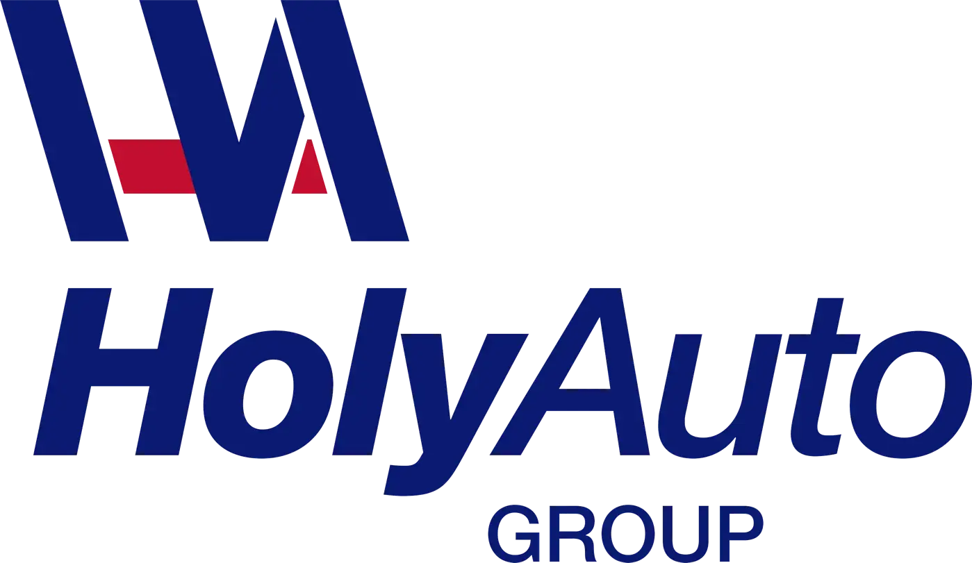 Grupo Holyauto