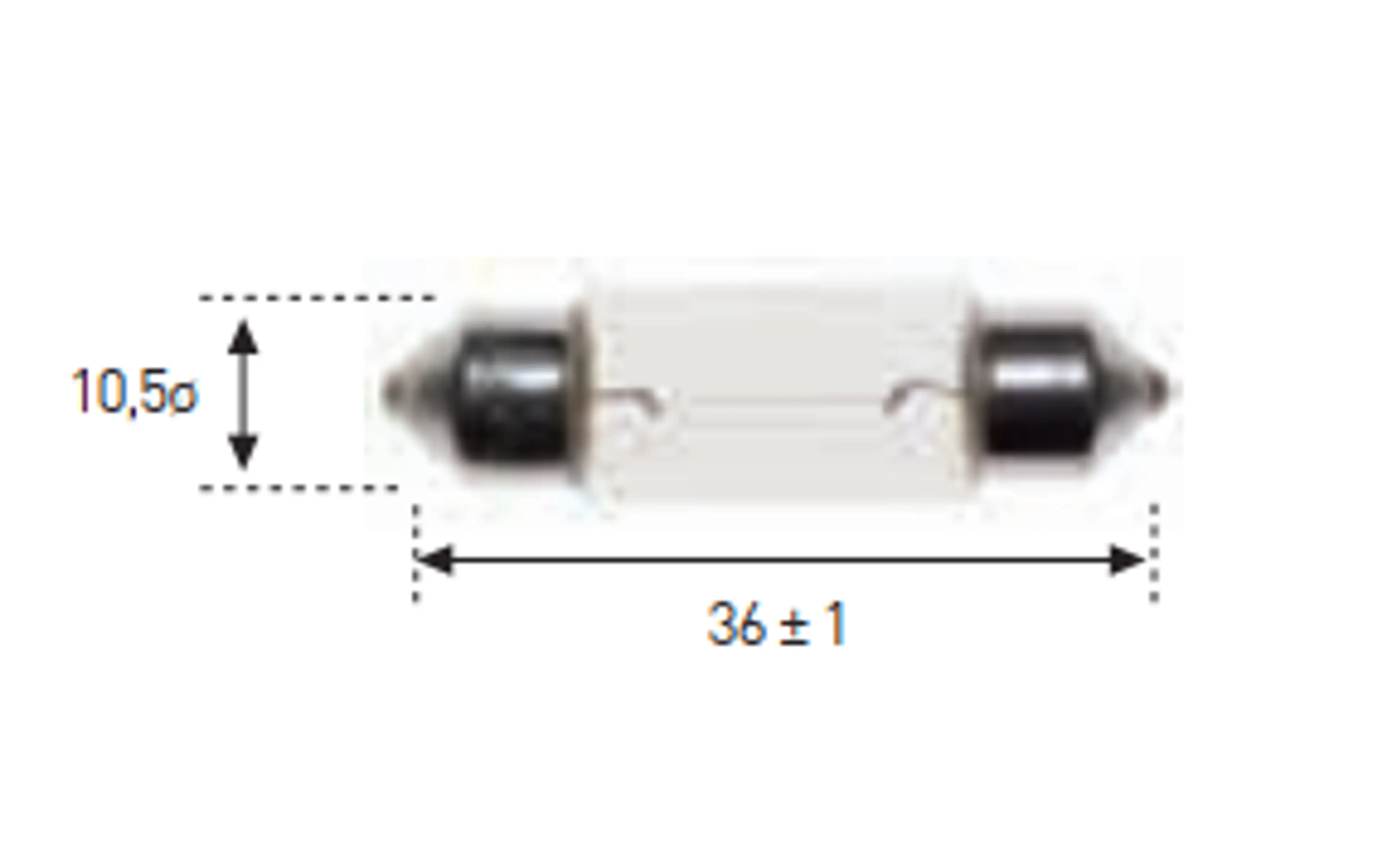 LAMPARA PLAFON 12V 5W 10X36