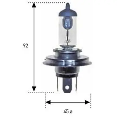 LAM HAL 12V60/55W H-4(P43T)AM