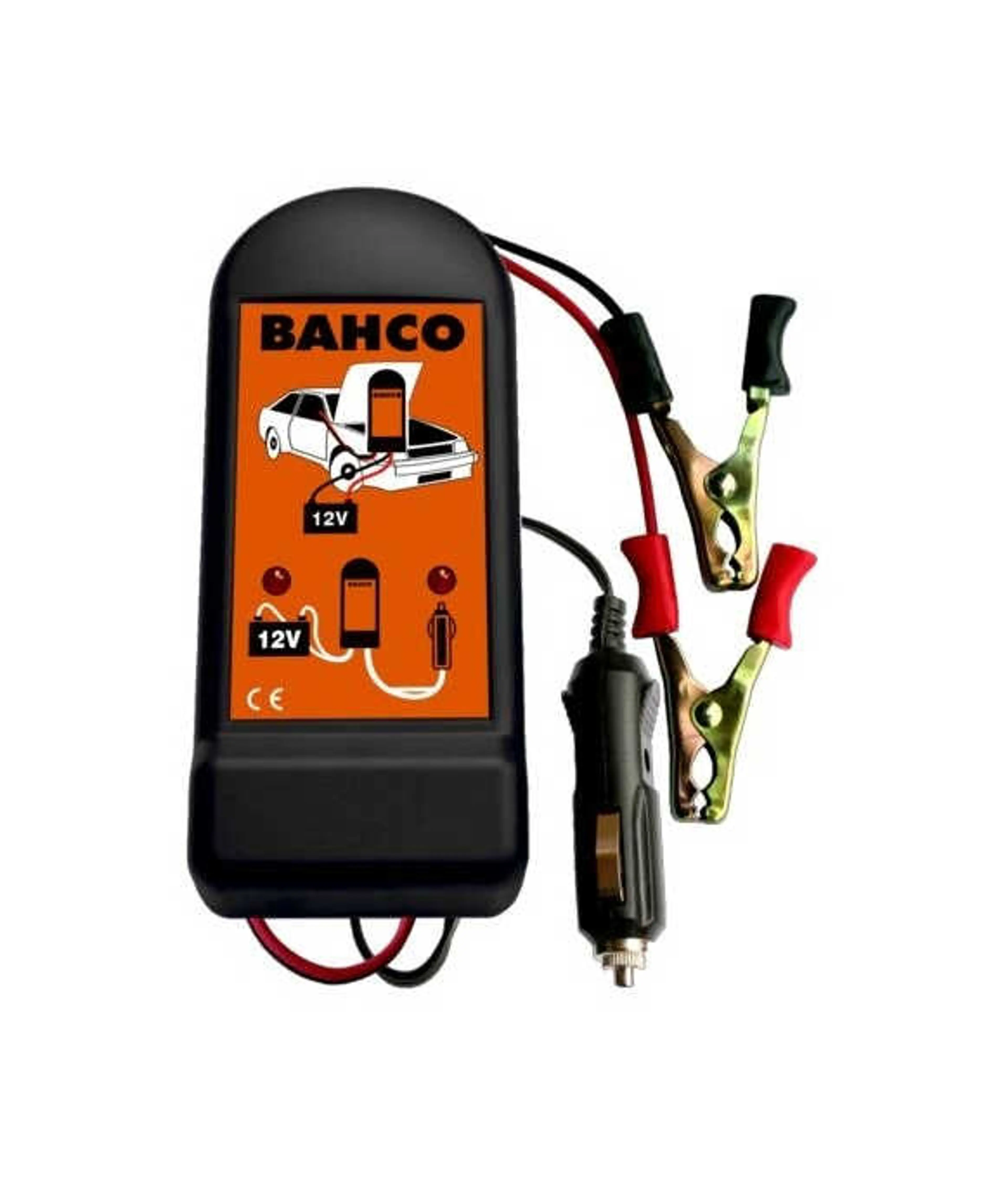 PROTECTOR DE MEMORIAS 12V