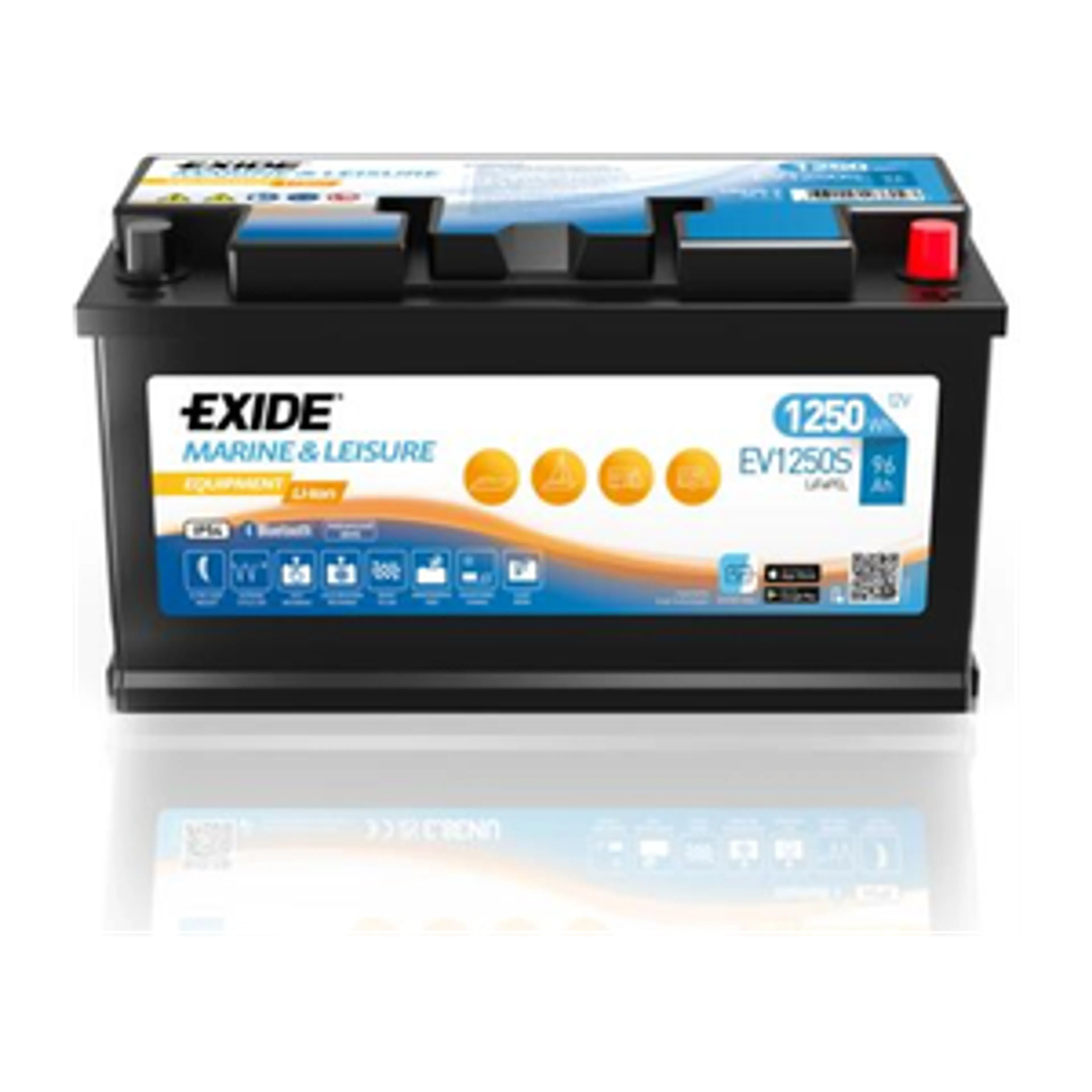 Batería Exide EV1250S