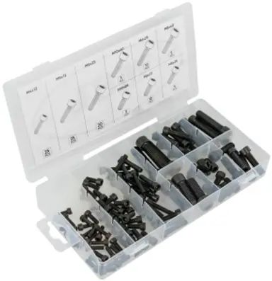 ESTUCHE DE TORNILLOS ALLEN 106PCS