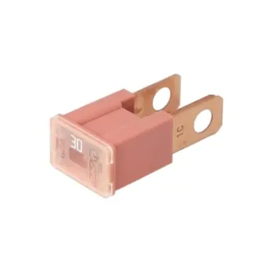 FUSIBLE PAL MACHO 30 A