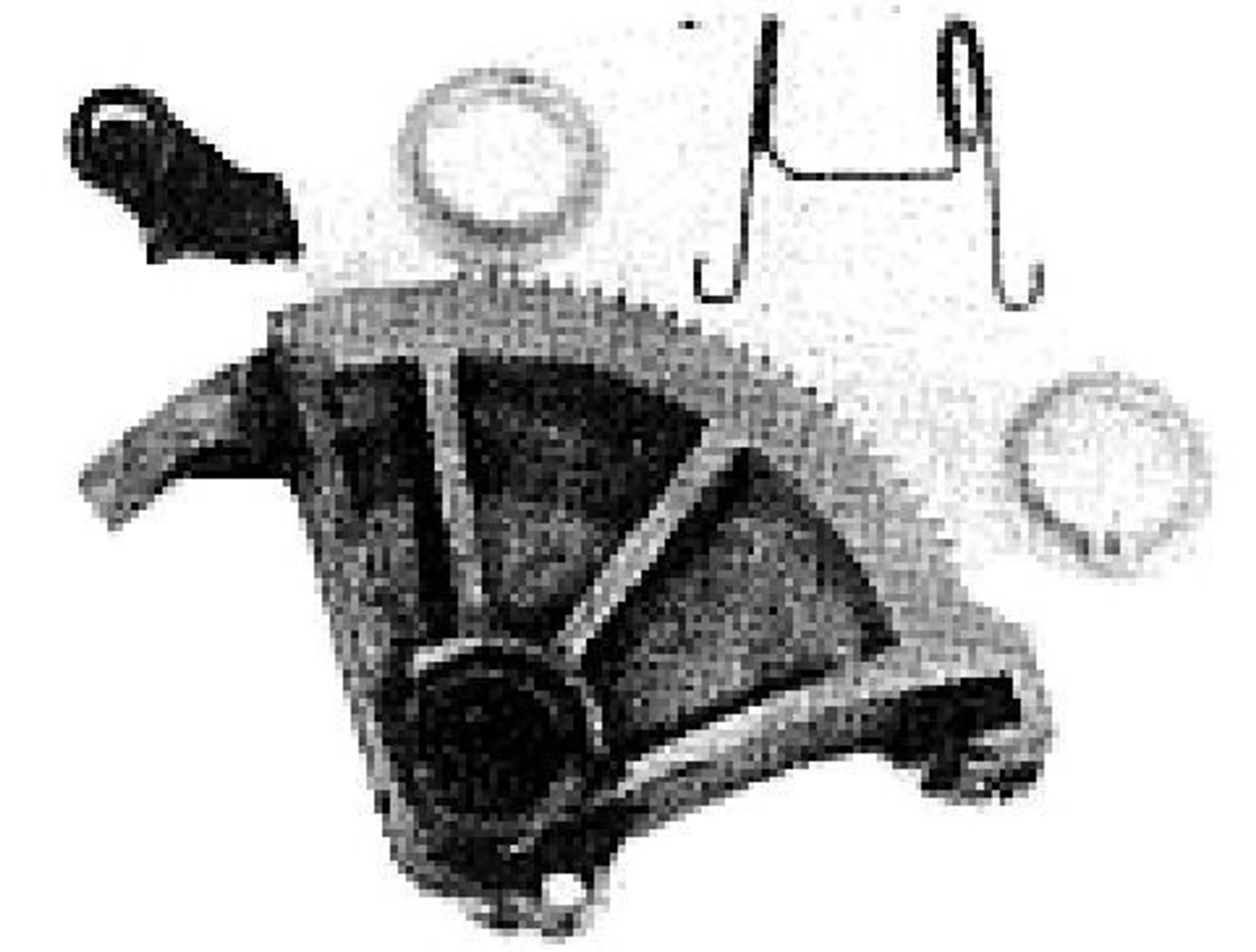 SERRETA PEDAL EMBRG FORD
