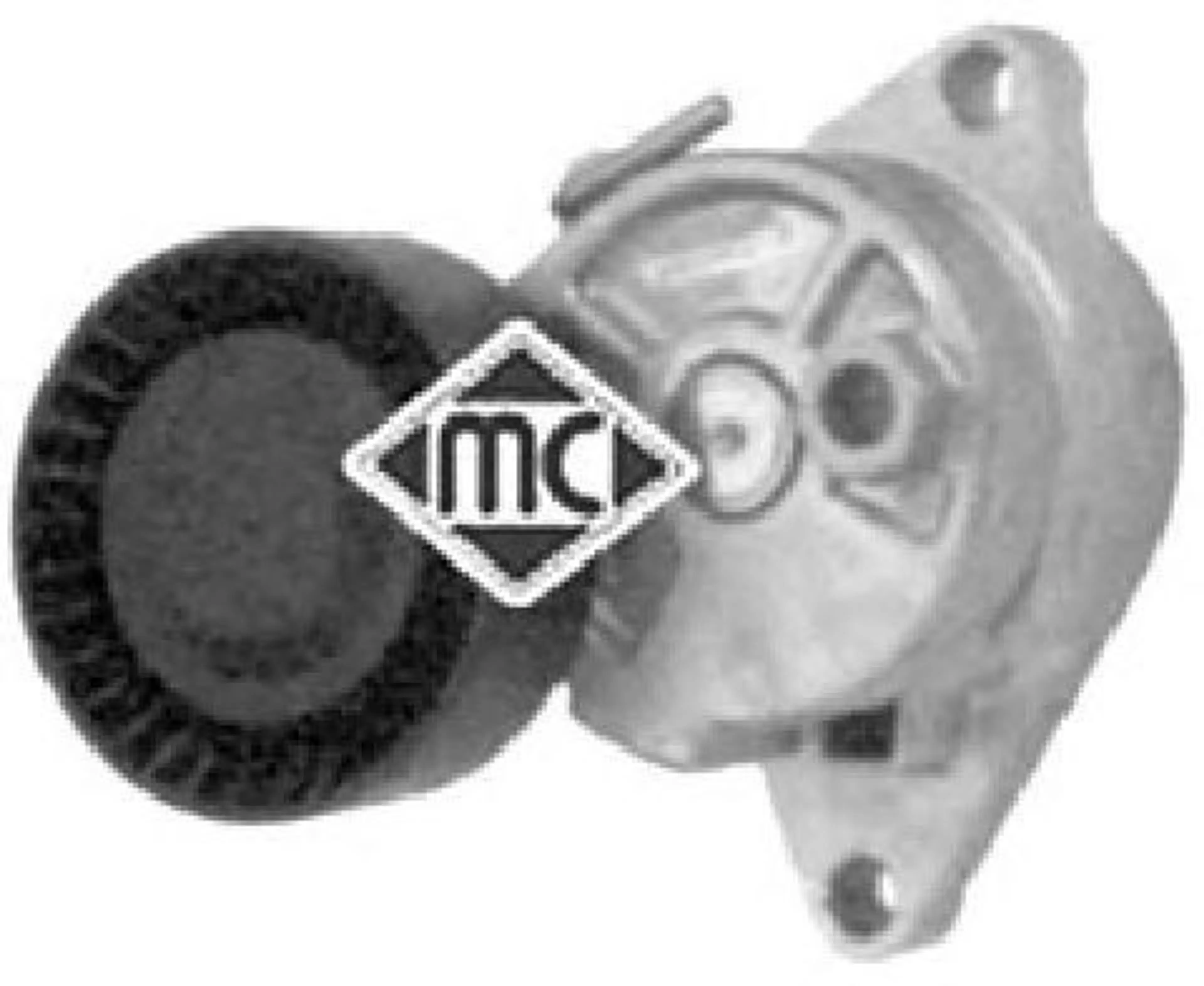 TENSOR CORREA ALT BMW S3/5