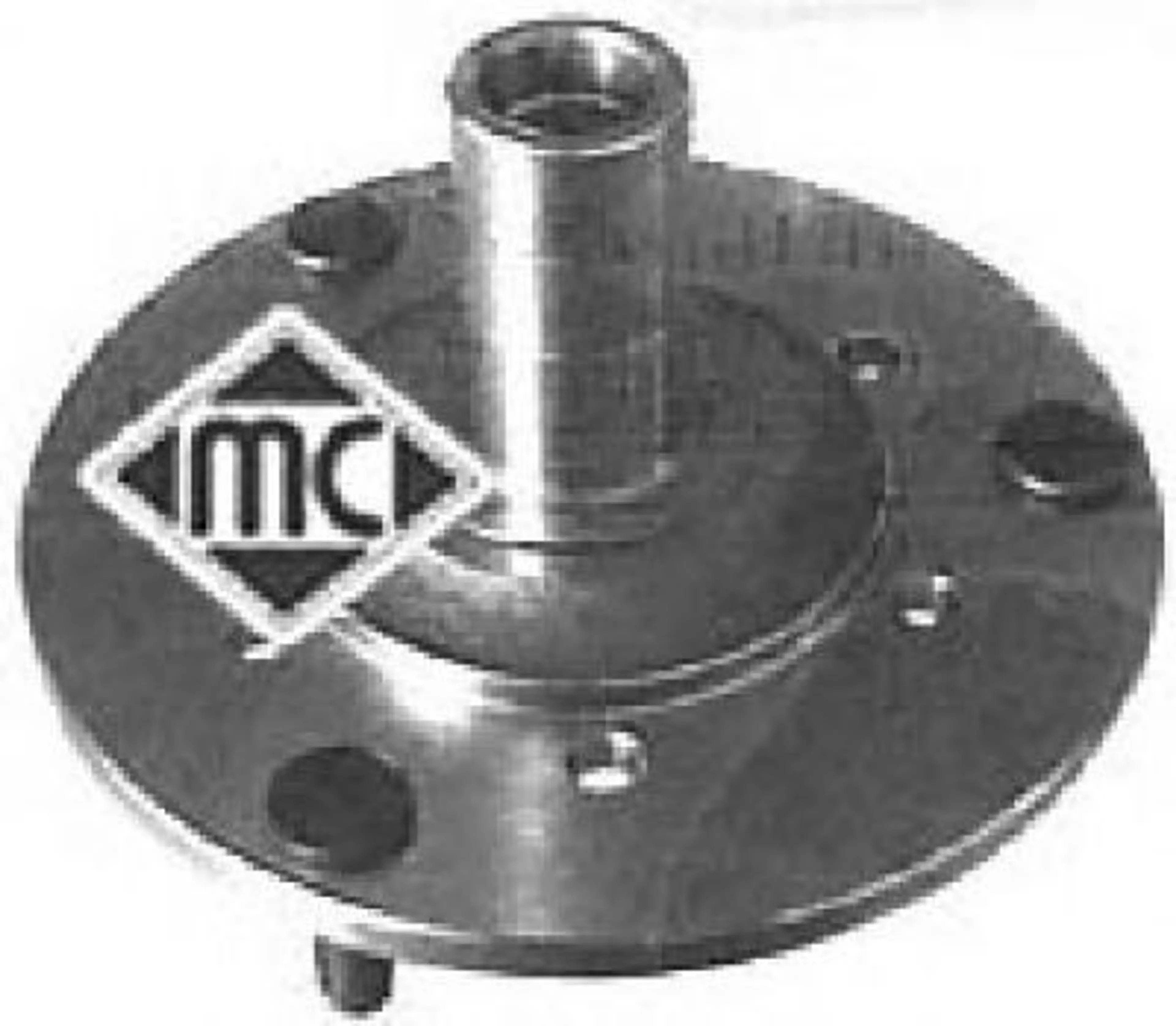 BUJE DELT RENAULT 4-5-6