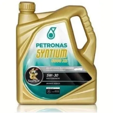 SYNTIUM 5000 XS 5W-30 5 LITROS