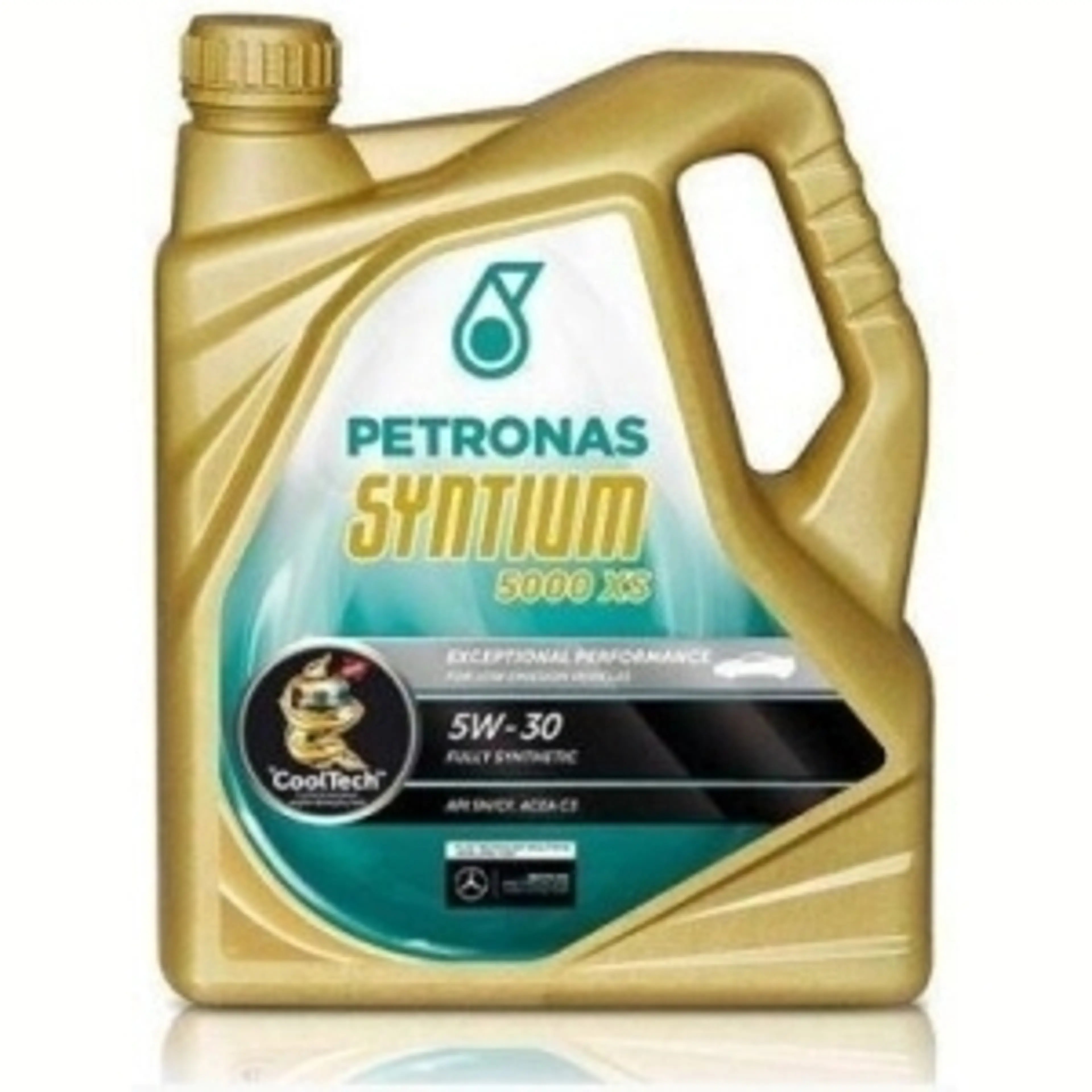 SYNTIUM 5000 XS 5W-30 5 LITROS