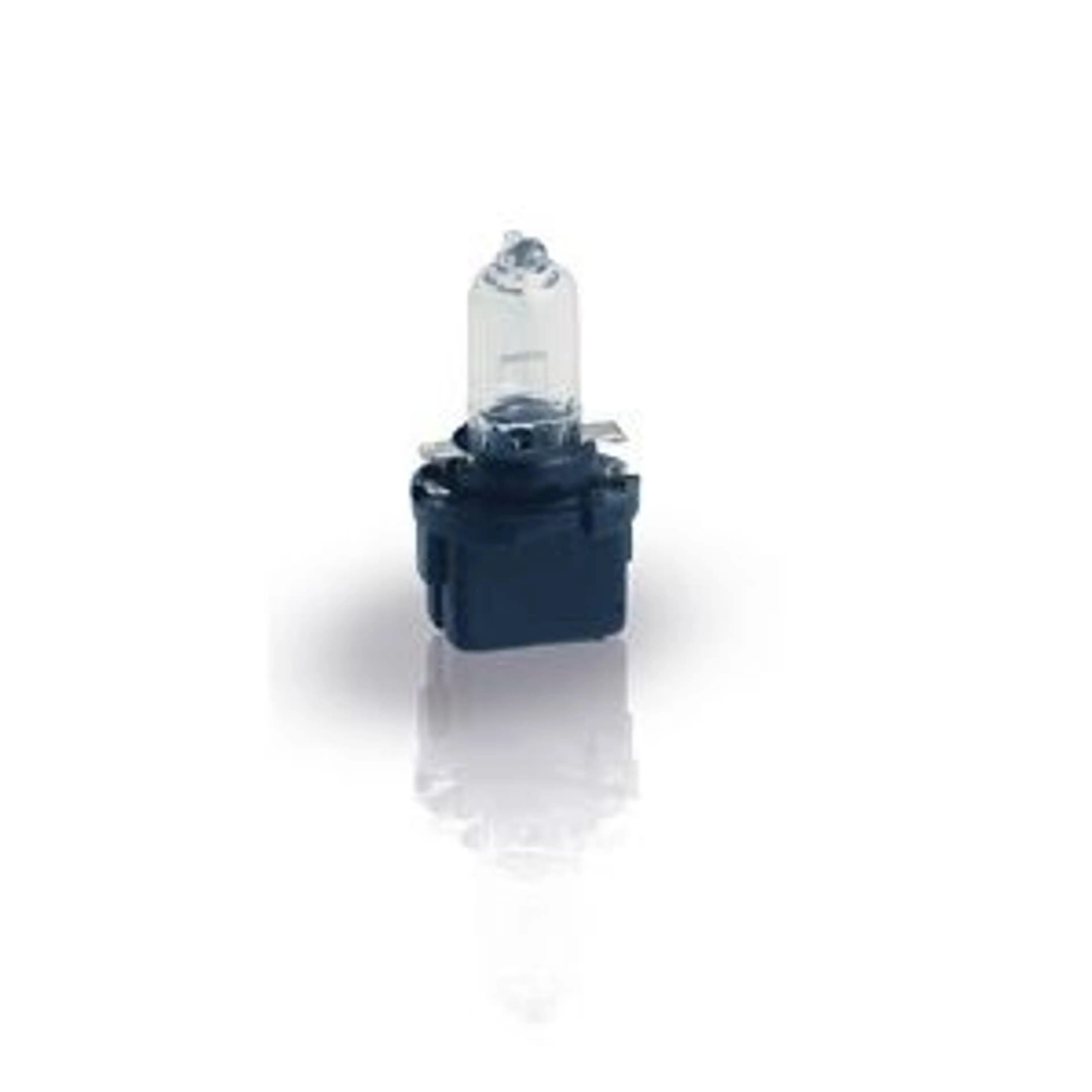 LAMP. B10D BLACK HALOGEN  12V5W B10