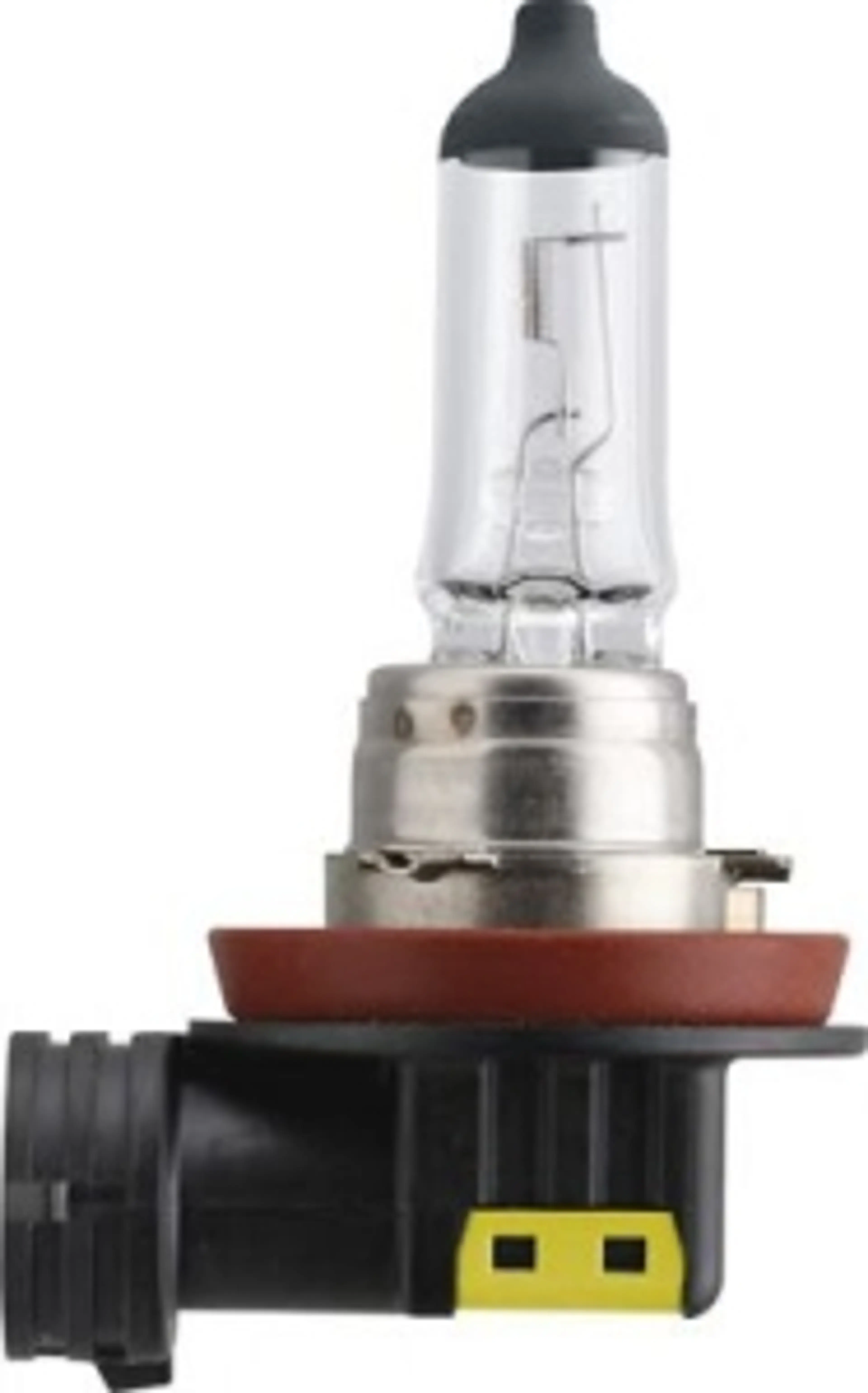 LAMP. H11 MASTERDUTY 24V70W PGJ19-2