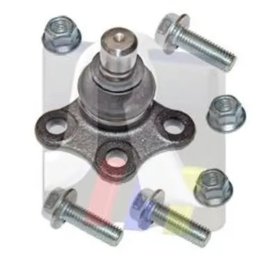 ROTULA SUSPENSION