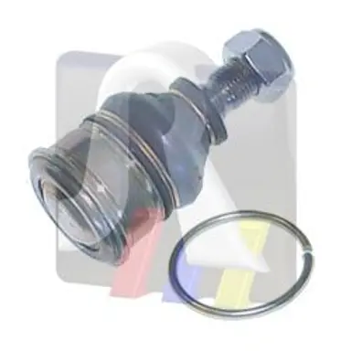 ROTULA SUSPENSION