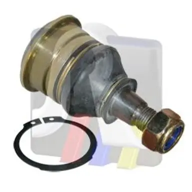 ROTULA SUSPENSION