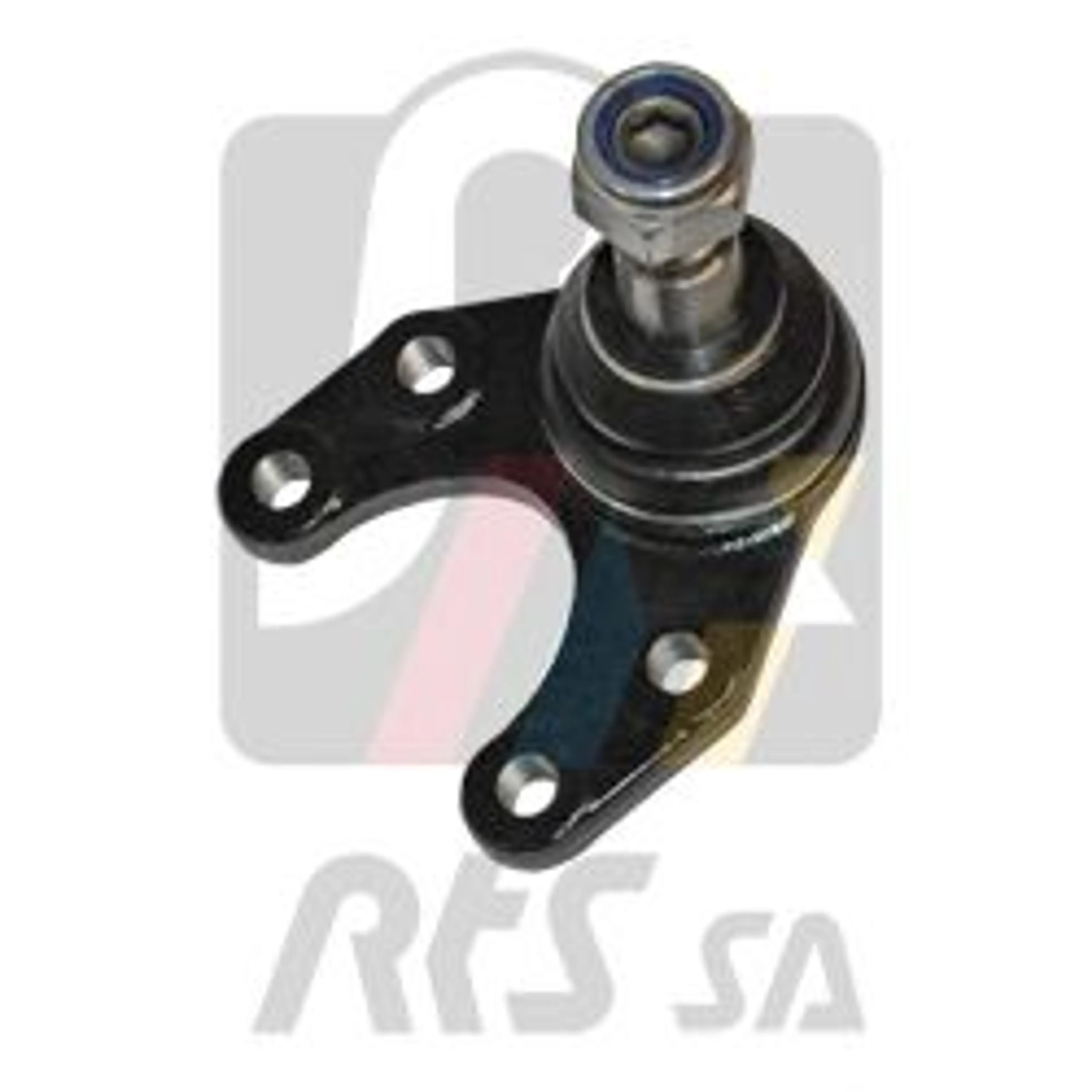 ROTULA SUSPENSION