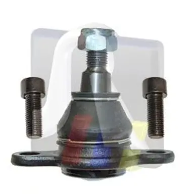 ROTULA SUSPENSION