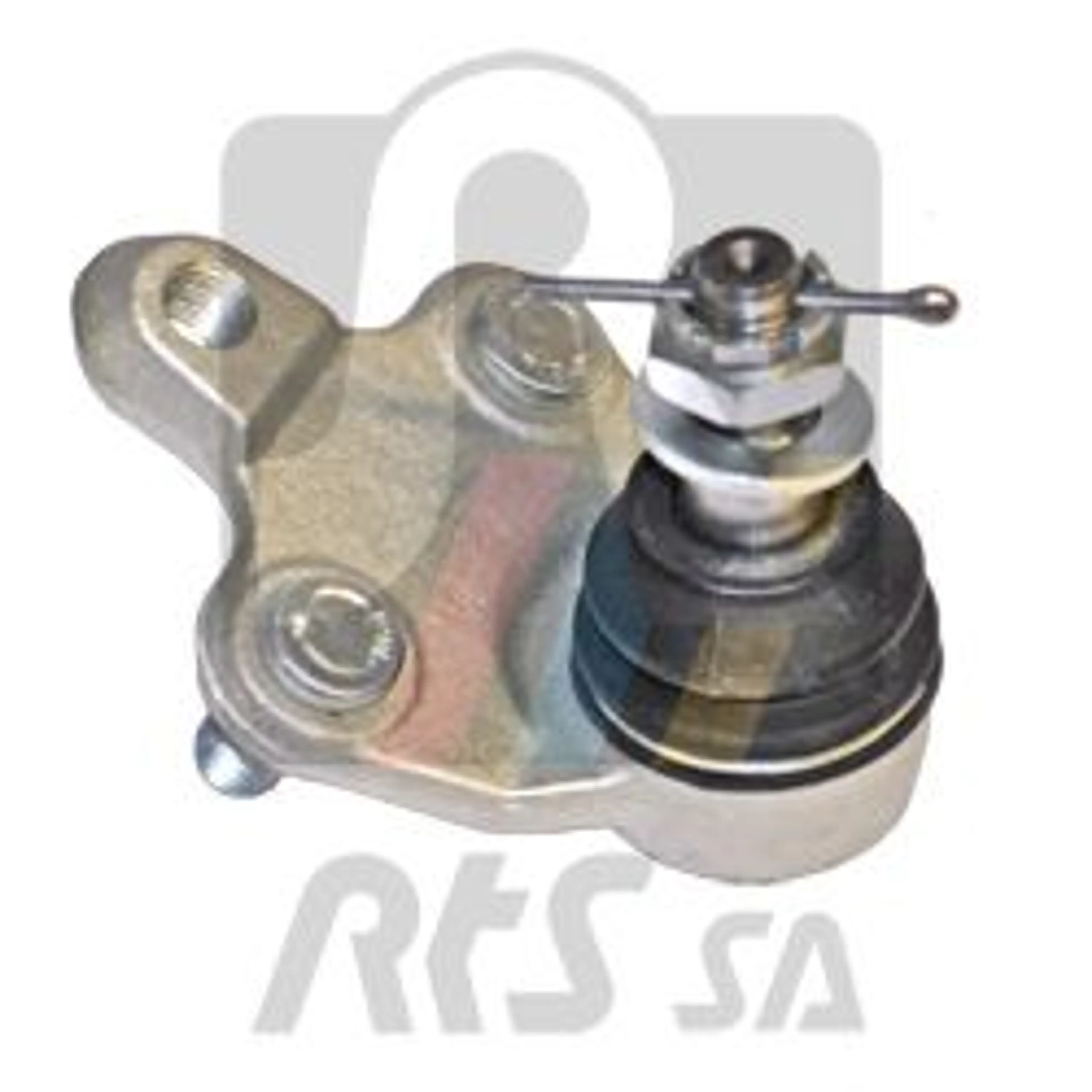 ROTULA SUSPENSION