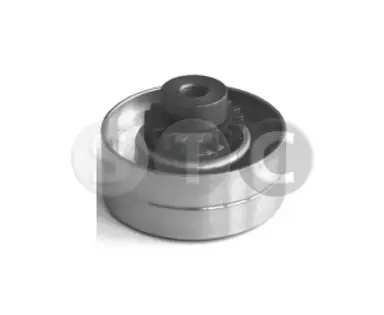 RODILLO TENSOR CORREA ALTERNADOR RE