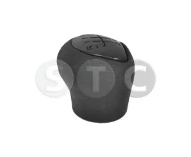 POMO PALANCA DE CAMBIO NEGRO KANGOO