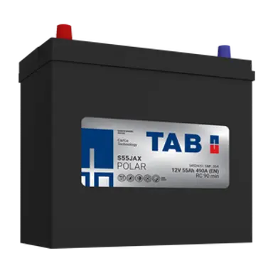BATERIA 55A 236X128X202/223 B.1