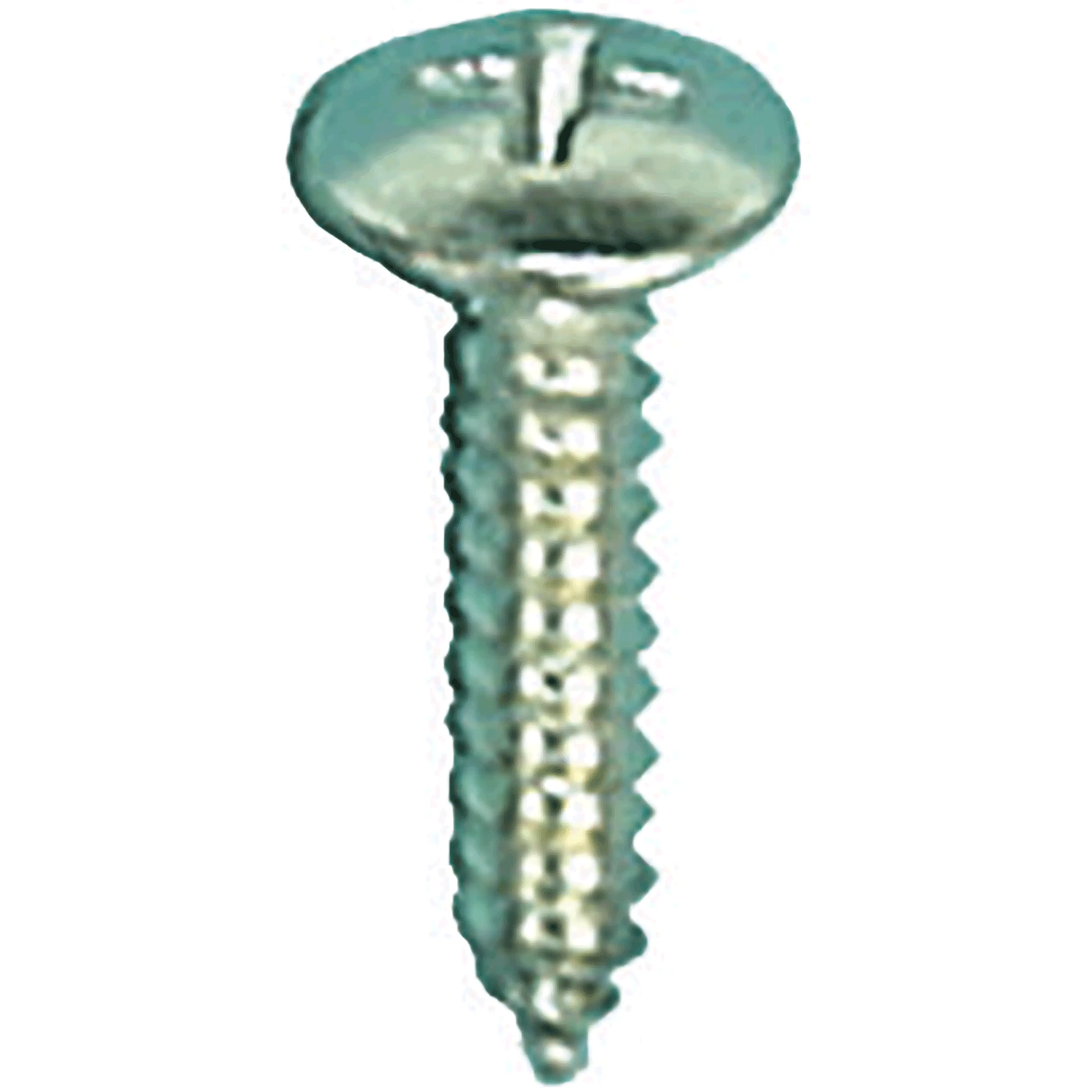 TORNILLO MATRICULA 4.2X19