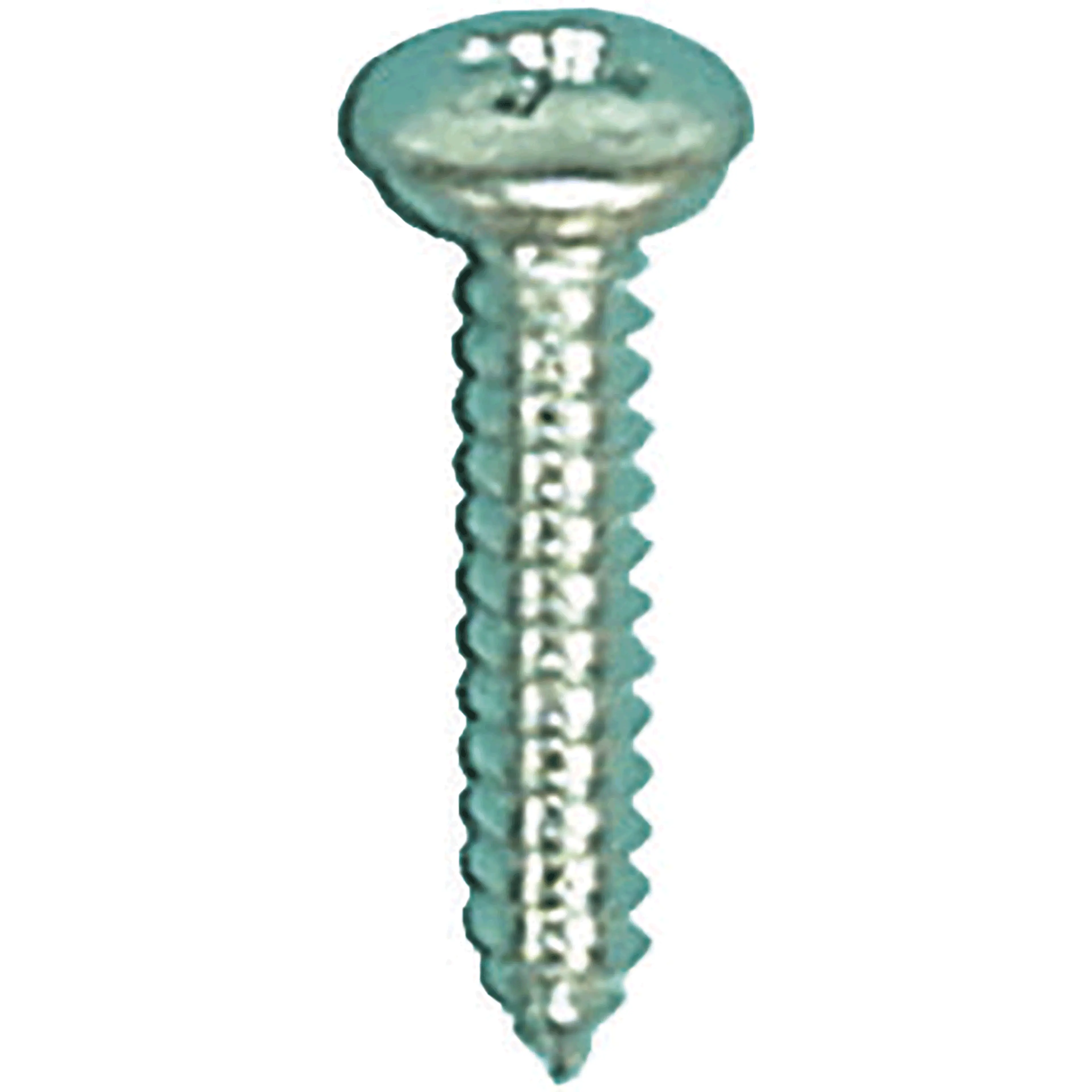 TORNILLO MATRICULA 4.8X25