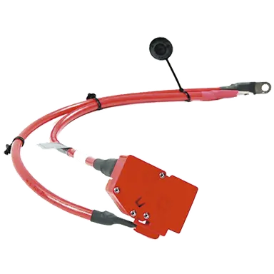 CABLE POSITIVO BATER.BMW E19