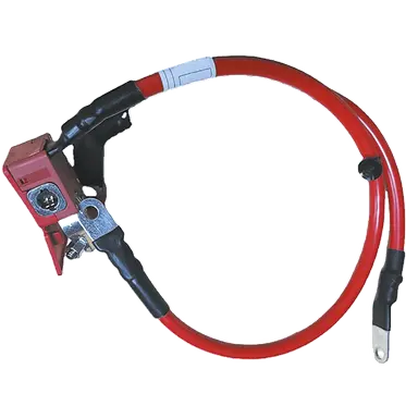 CABLE POSITIVO BATERIA BMW X5