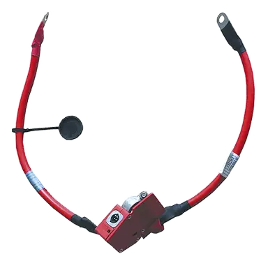 CABLE POSITIVO BATER.BMW F30