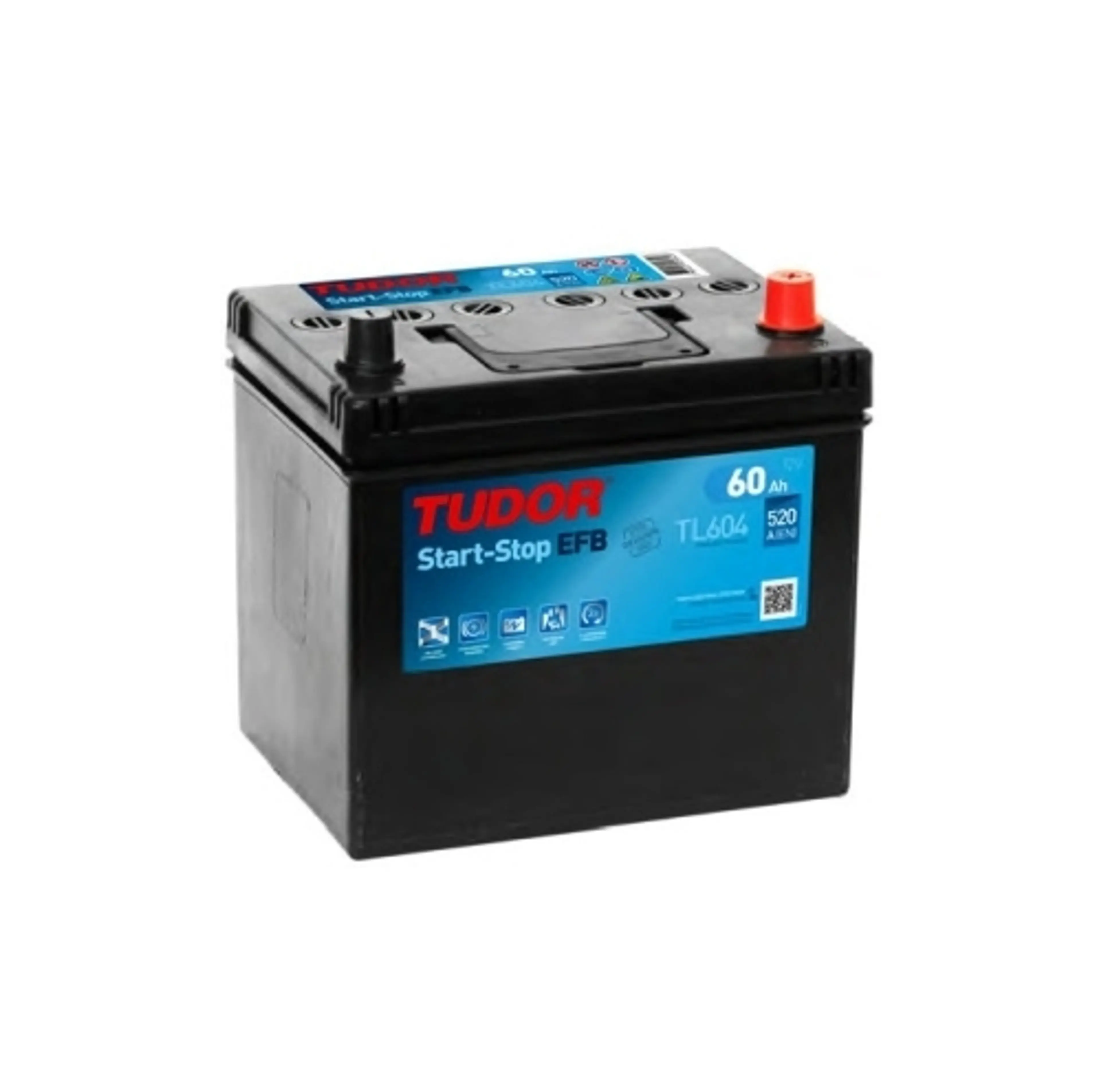 BATERIA EFB 230X173X222 B.0