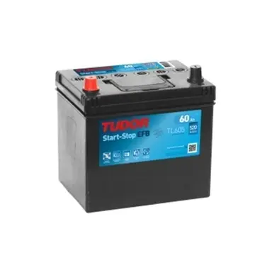 BATERIA EFB 230X173X222 B.1