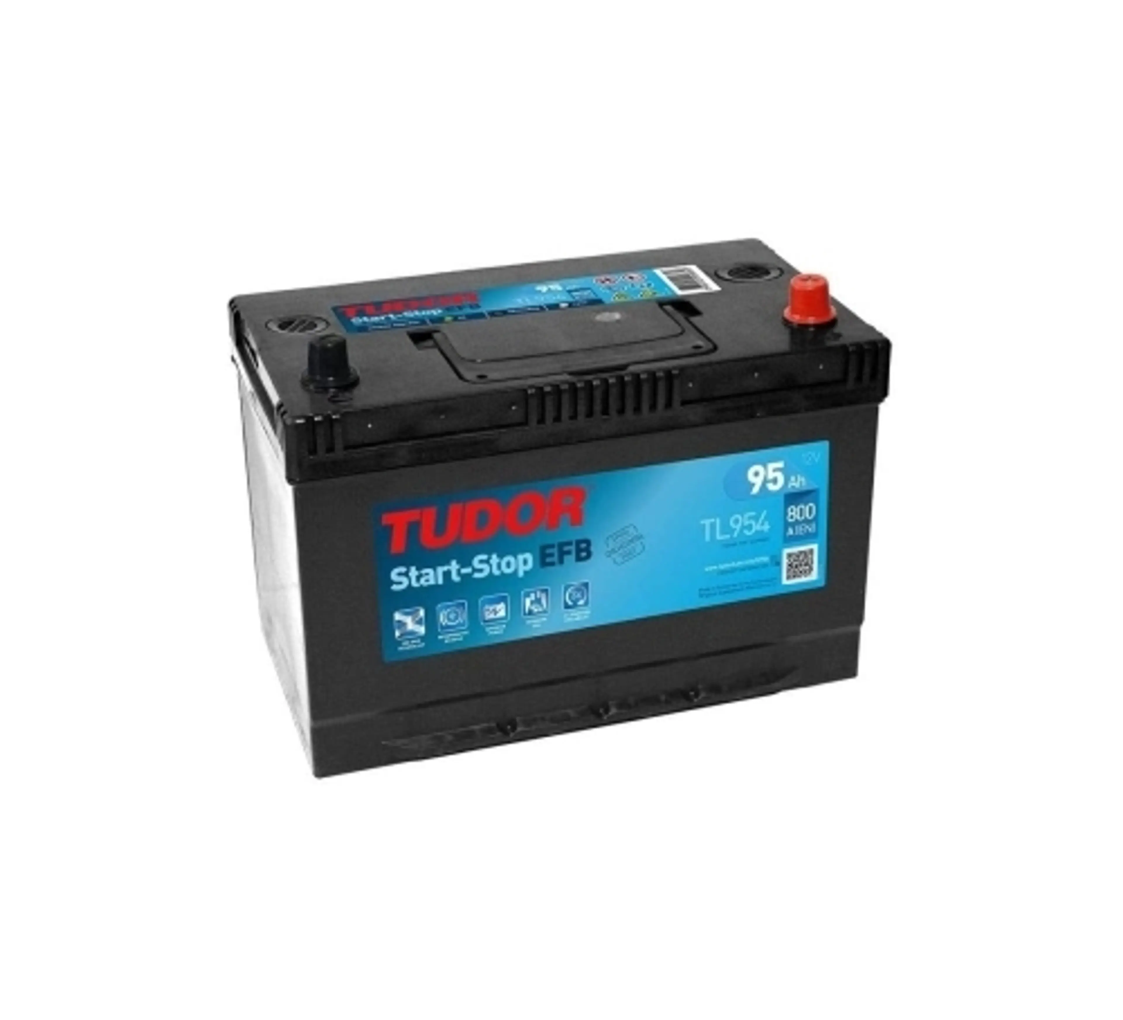 BATERIA EFB 306X173X222 B.0