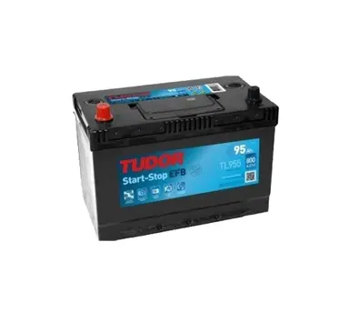 BATERIA EFB 306X173X222 B.1