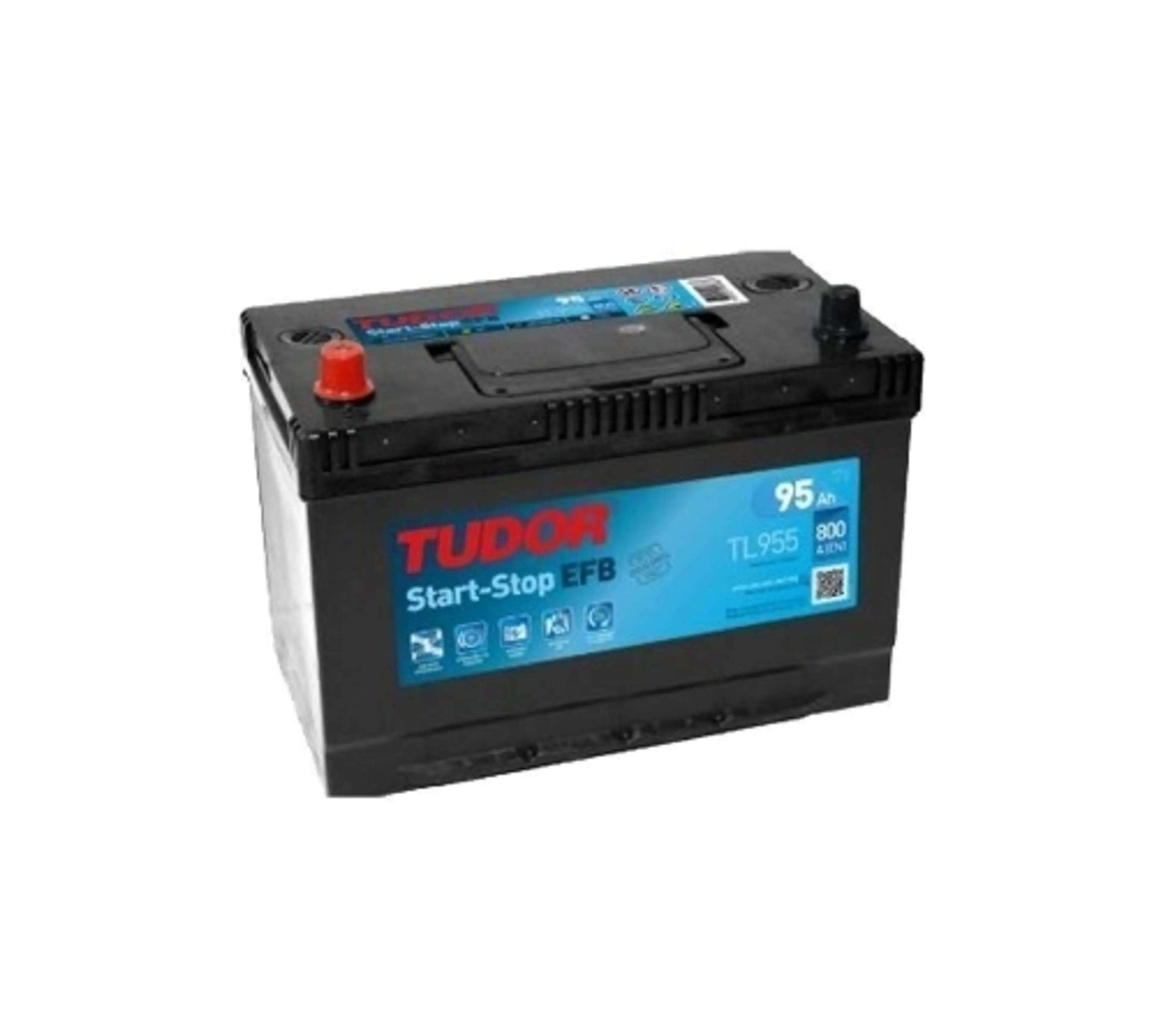 BATERIA EFB 306X173X222 B.1